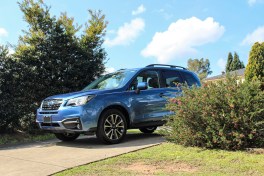 Paint Protection Camden Campbelltown mobile Macarthur Detailing